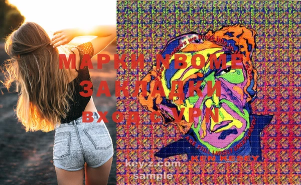 индика Ижевск