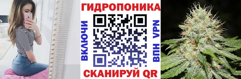 Купить закладки  Почеп  Шишки марихуана сатива 